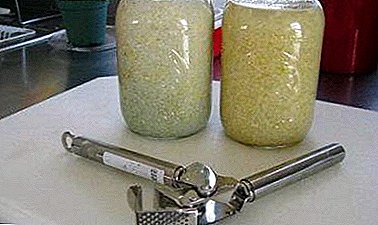 Kekuatan penyembuhan bawang putih pada air, resipi dan arahan untuk digunakan