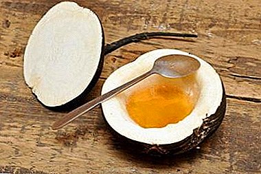Remedio curativo del rábano y la miel. ¿Cómo usarlo para la tos, para los resfriados y otras enfermedades?