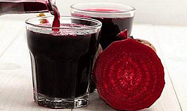 Valuable and inexpensive product in the diet: the benefits and harm of broth beets