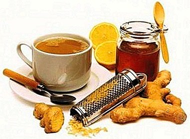 What is useful and harmful ginger with honey? Recipes mixes and drinks from various ailments