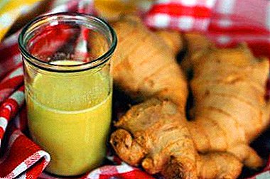 What is useful juice from ginger root? Composition, application and step-by-step recipes