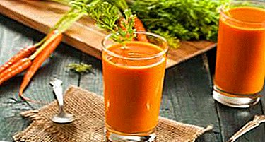 ¿Qué es el jugo de zanahoria útil y hay algún daño por su uso? ¿Cómo cocinar tú mismo con apio y manzana?