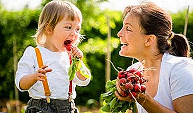 Qu'est-ce qui est utile au radis et à quel âge un légume de printemps peut-il être donné à un enfant? Comment entrer dans le régime?