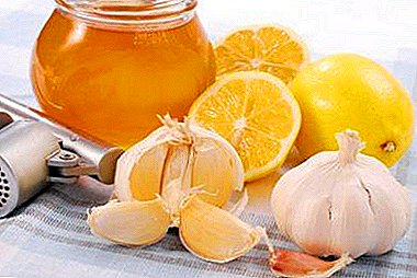容器をきれいにするためのレモンとニンニクの有用な混合物は何ですか？使用法のレシピのチンキと勧告