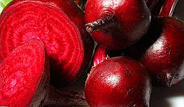 What is useful beets for cleansing the body? Recipes for the recovery of blood vessels, intestines, liver