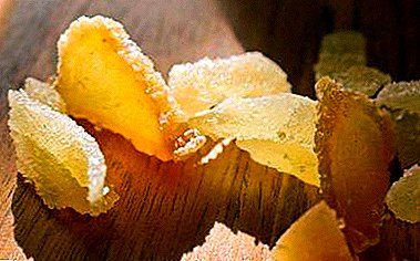 What is candied ginger, useful or harmful? Step-by-step cooking recipes and tips on eating