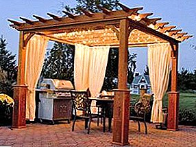 What is pergola and why is it needed on the site?