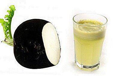 The miraculous properties of black radish juice - how to use, so as not to harm?