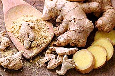 Miraculous Ginger: Rezepte für die Reinigung von Gefäßen mit Zusatz von Honig, Zitrone und anderen Komponenten