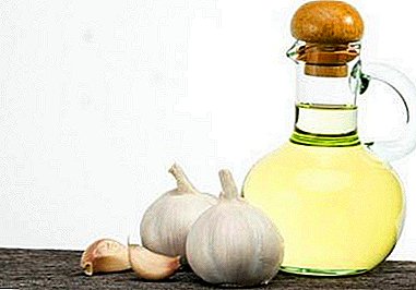 Olio d'oliva miracoloso con aglio per la salute di tutta la famiglia