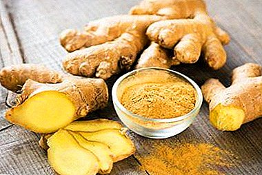 Miracle - is it possible to give ginger to a child and from how many years? Recipes for therapeutic purposes
