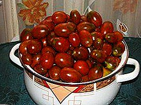 "De Barao Cherny" - طماطم غريبة في أسرتك في الحديقة