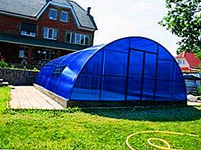 Hacer una piscina en un invernadero con policarbonato con sus propias manos: características de la construcción y el funcionamiento del toldo