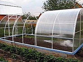 We make ourselves a greenhouse of PVC and polypropylene pipes