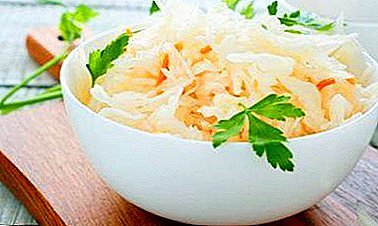 We make marinated instant cabbage in a pot a day: a variety of dish recipes