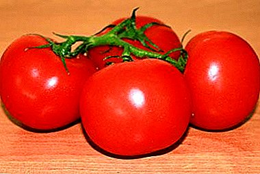 "حساسية" على الطاولة: ميزات ووصف مجموعة متنوعة الطماطم في وقت مبكر