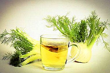 Children's tea with fennel for newborns and older children. What is its use and how to apply?