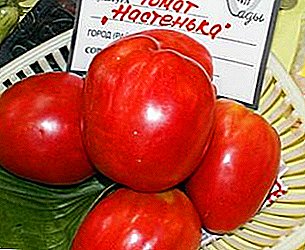 Para invernaderos y camas abiertas, elija un tomate "Nastya": característica y descripción de la variedad