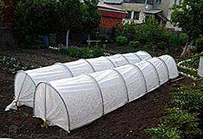 Durable and reliable greenhouse "Beautiful Dacha": description and photo