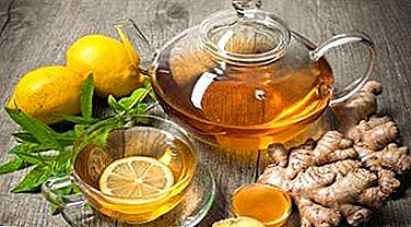 An effective means for losing weight - a mixture of ginger and cinnamon. Recipes with turmeric and other wholesome ingredients