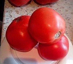 Another wonderful greenhouse variety of tomatoes "Siberian Apple": its characteristics and description
