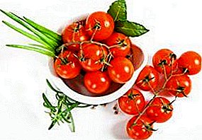 Küçük meyveli yüksek verimli domatesler "Red Caramel" F1: çeşitliliğin ve avantajlarının tanımı