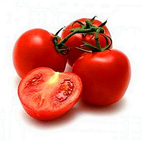 Uma excelente variedade para iniciantes e agricultores - Dink F1 tomate: característica e descrição da variedade, foto