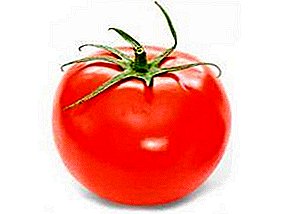 Lekkere universele variëteit - tomaat Elena F1