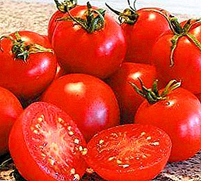 Klar för de hårda norra förhållandena - tomat "Glaciär" f1: karaktäristisk och beskrivning av sorten