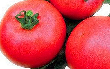 بينك الوردي الطماطم الحلوة - وصف وخصائص F1 الهجين