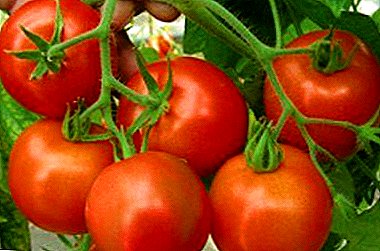 Cum să crească o tomată proaspătă coapte "Hurricane F1": descriere, fotografie și caracteristică a soiului