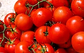 היברידית חדשה של הדור הראשון - תיאור מגוון של עגבניות "Verlioka פלוס" F1