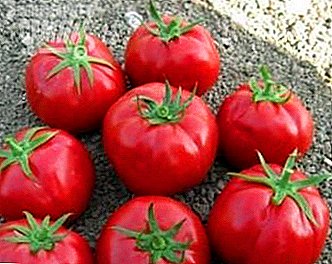 Sorprendentemente tomates de tamaño uniforme de Rosaliz F1: descripción de variedades, recomendaciones de cultivo