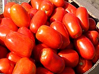 Mała szpula i drogie - Klasyczny pomidor f1: opis odmiany, uprawa, zalecenia