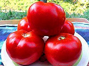 トマトのユニークな雑種品種 -  Spassky Tower F1
