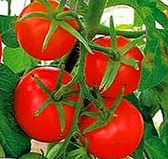 Comment récolter une double récolte de tomates mûres précoces “Anyuta F1”: description de la variété, conseils d'entretien