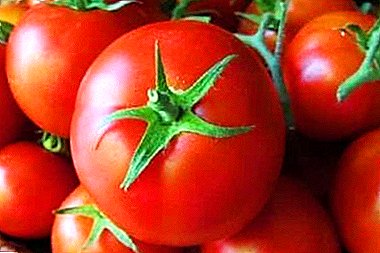 Tomato yang tidak bersahaja "Sultan F1": ciri dan keterangan pelbagai, gambar tomato