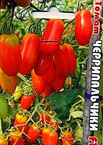 Pelbagai miniatur dan manis tomato "Cherripalchiki": penerangan dan ciri-ciri hibrid F1