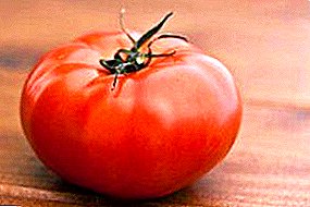 Raspberry Favorite - Novikova Giant Tomato: opis odmiany, zdjęcie