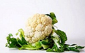 Where and how to keep cauliflower for the winter fresh longer at home: in the freezer, in the refrigerator or in the cellar?