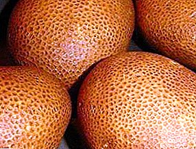 Генетично модифициран сорт картофи "Киви": характеристики, описание на сорта, снимка