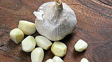 Hypertensive note: increases or decreases the pressure of garlic?