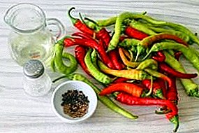 Bitter red chili: kako zadržati vruće paprike za zimu u hladnjaku iu mahunama?