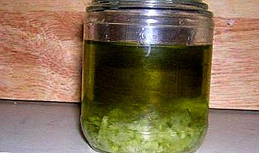 Prepare drugs yourself: garlic tincture with alcohol