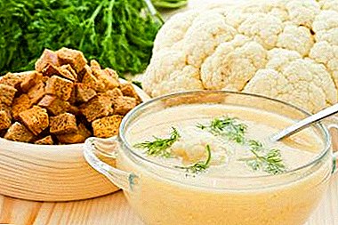 Cooking the softest cauliflower cream soups with cream, curry and delicious broth