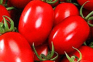 Buen rendimiento con tomate "New Transnistria": descripción de la variedad, fotos, especialmente tomates