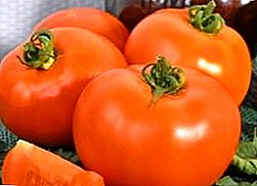 Una buena opción para los agricultores y aficionados es la variedad híbrida de tomate "Rey del Mercado".