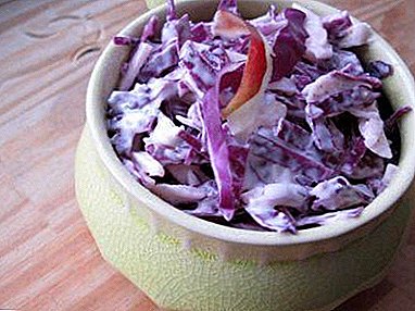 Want to surprise guests? Delicious red cabbage salad with mayonnaise recipes, serving photo