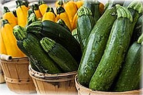 Keeping zucchini in the cellar will not require much effort from you.