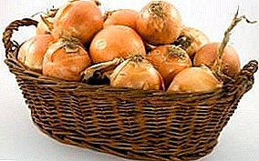 Storage of onions, green, seedlings and leeks in the conditions of an apartment and your house in winter
